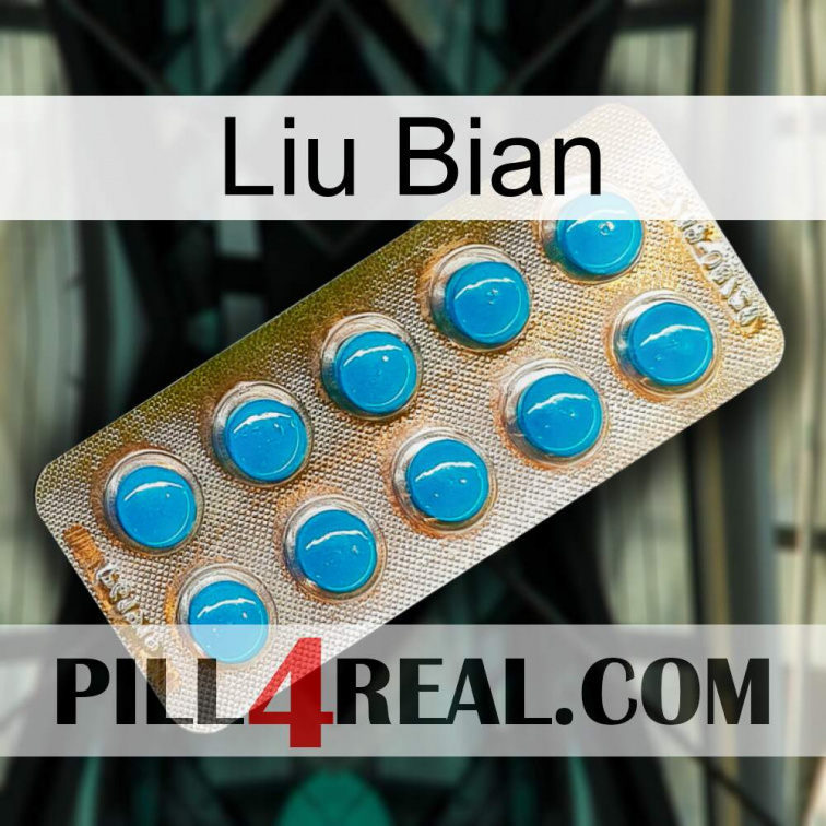 Liu Bian new09